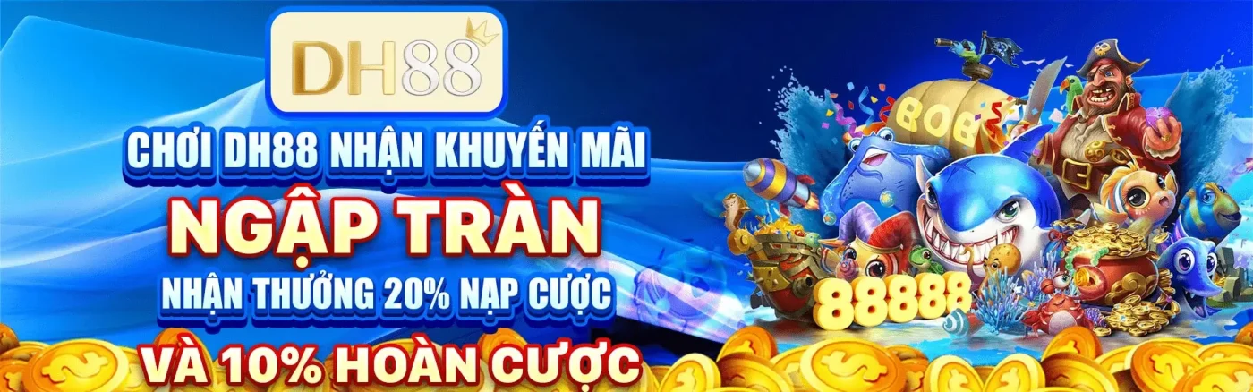 Banner DH88
